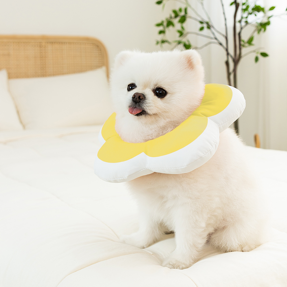 강아지 넥카라 플라워 방수 초경량 M