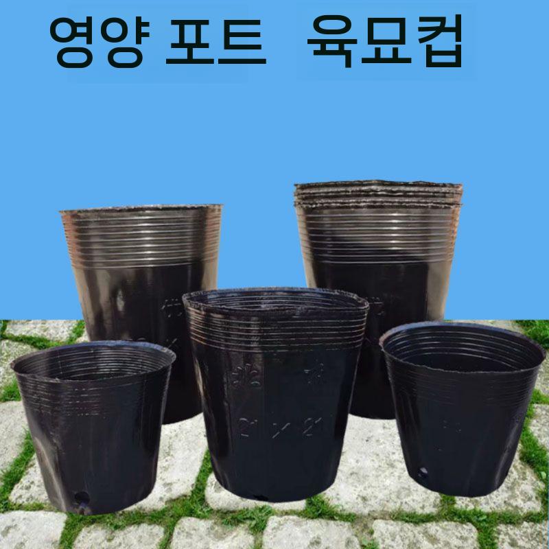 플라스틱 일회용화분 육묘 일회용 모종 다육이 화분 도구 12x10cm(8.8x7.8)/1000개 - 상세 이미지 5
