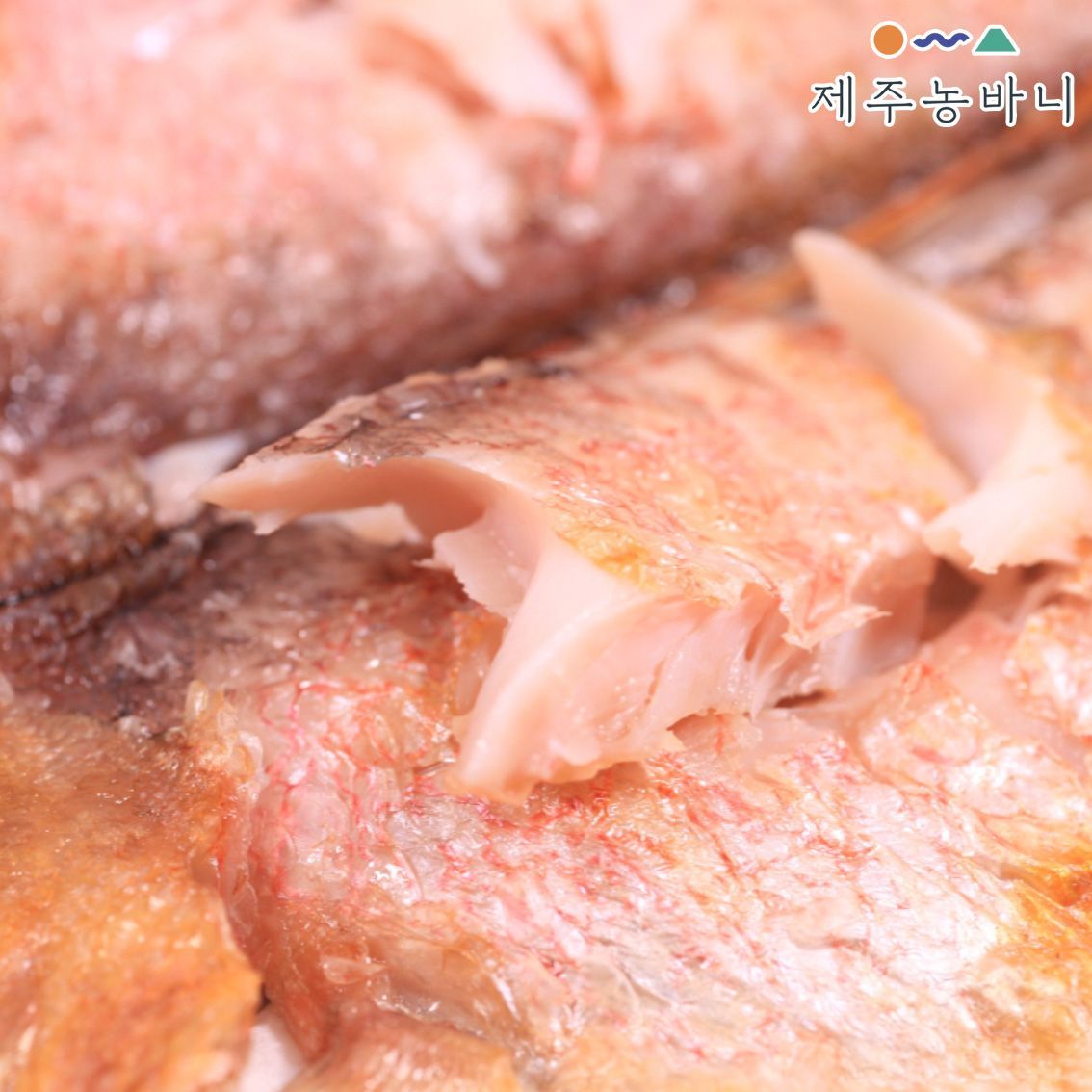 제주농바니 제주 옥돔 선물세트 특대 중 제수용 반건조 생선 명절 선물 - 상세 이미지 3