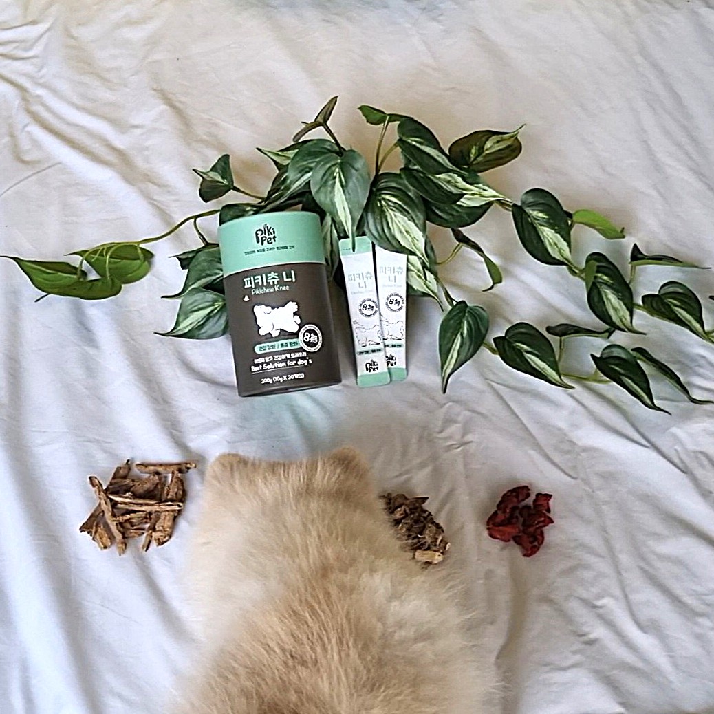 피키펫 강아지 슬개골 영양제 관절염 관절 탈구 영양제 관절약 10g, 20개