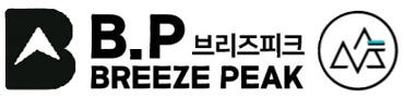 캠핑 화목난로 스토브 장작 펠릿 불멍 이중연소 3면 유리 BP 이븐 G1