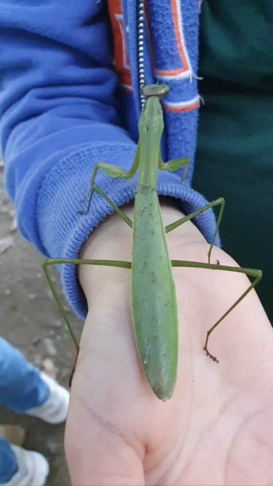 [용산가족공원] 소똥구리생태학교 행복 가득 봄 숲체험 by 소똥구리생태학교 이미지 3
