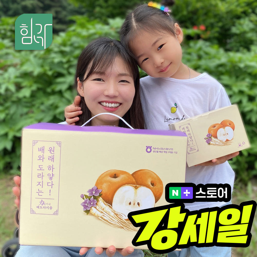 힘가네 힘가네 국산 도라지배즙 80ml x 40포
