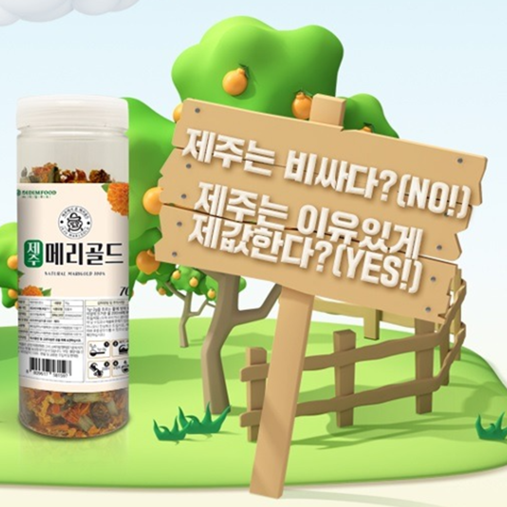 디딤푸드 프리미엄 제주 메리골드 꽃차 100% 70g 2병 마리골드 금잔화 꽃잎차 전통차 - 상세 이미지 3