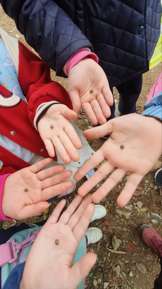 [용산가족공원] 소똥구리생태학교 행복 가득 봄 숲체험 by 소똥구리생태학교 이미지 4