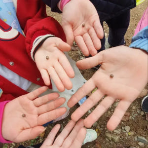 [용산가족공원] 소똥구리생태학교 행복 가득 봄 숲체험 by 소똥구리생태학... 솔직 후기 | 실사용자 리뷰 분석 - 상품 이미지 4