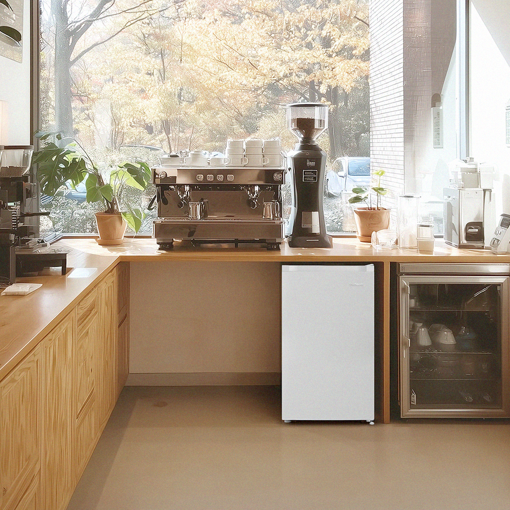 더함 소형 미니 냉동고 스탠드 서랍형 CHIQ 냉동고 화이트 65L