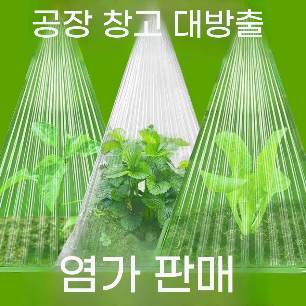 모종 보호 덮개 식물돔 꼬깔 모묙 서리 방지 방한 - 상세 이미지 2