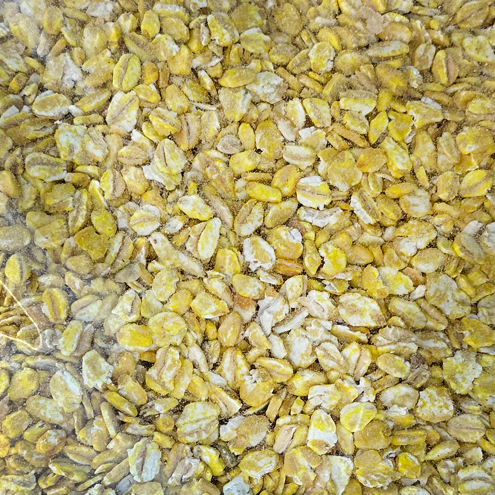 특제 옥수수향 첨가 대용량 옥보리 압맥 1.5kg 감성돔 벵에돔 집어제 옥수수대용 - 상세 이미지 3