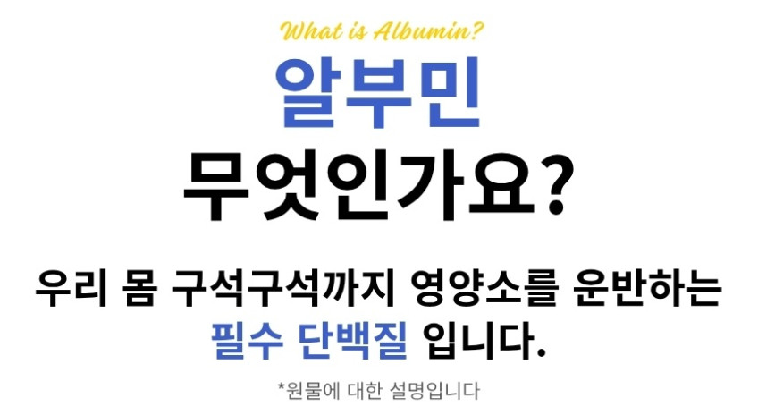 알부민 골드 맥스 벨기에산 120정 x3개 먹는 난백 단백질 효능 영양 판매처 상세 정보 이미지 4