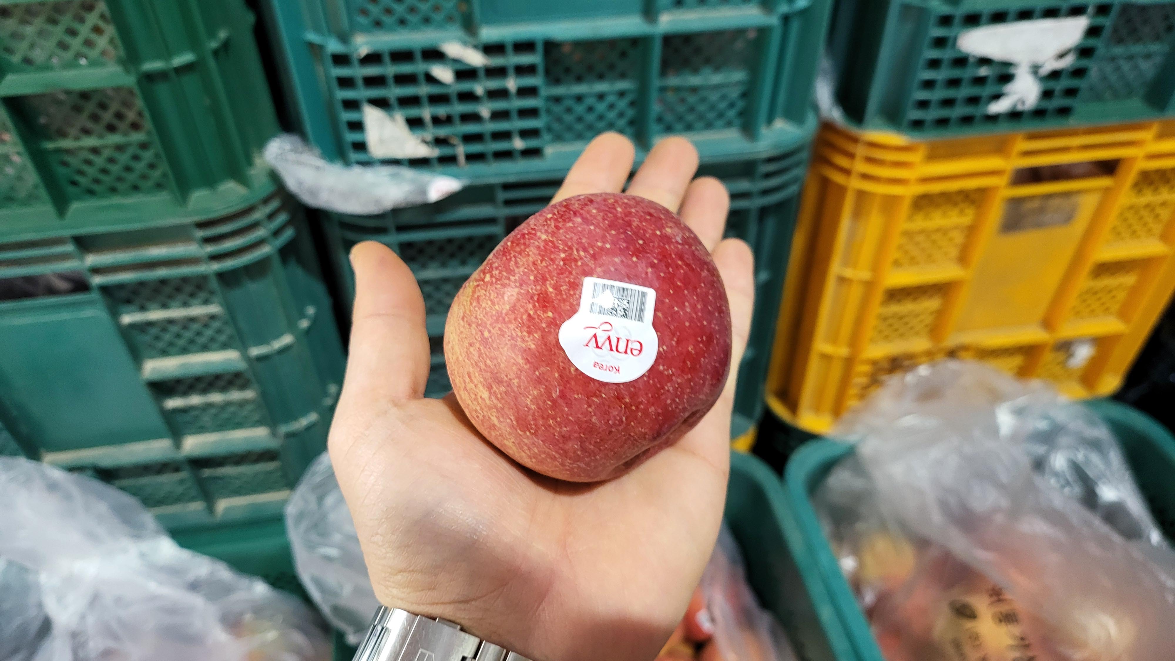 소과 nb 엔비 예산 사과 18Brix, 10kg, 1개 - 상세 이미지 5