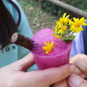 [용산가족공원] 소똥구리생태학교 행복 가득 봄 숲체험 by 소똥구리생태학... 솔직 후기 | 실사용자 리뷰 분석 - 상품 이미지 2