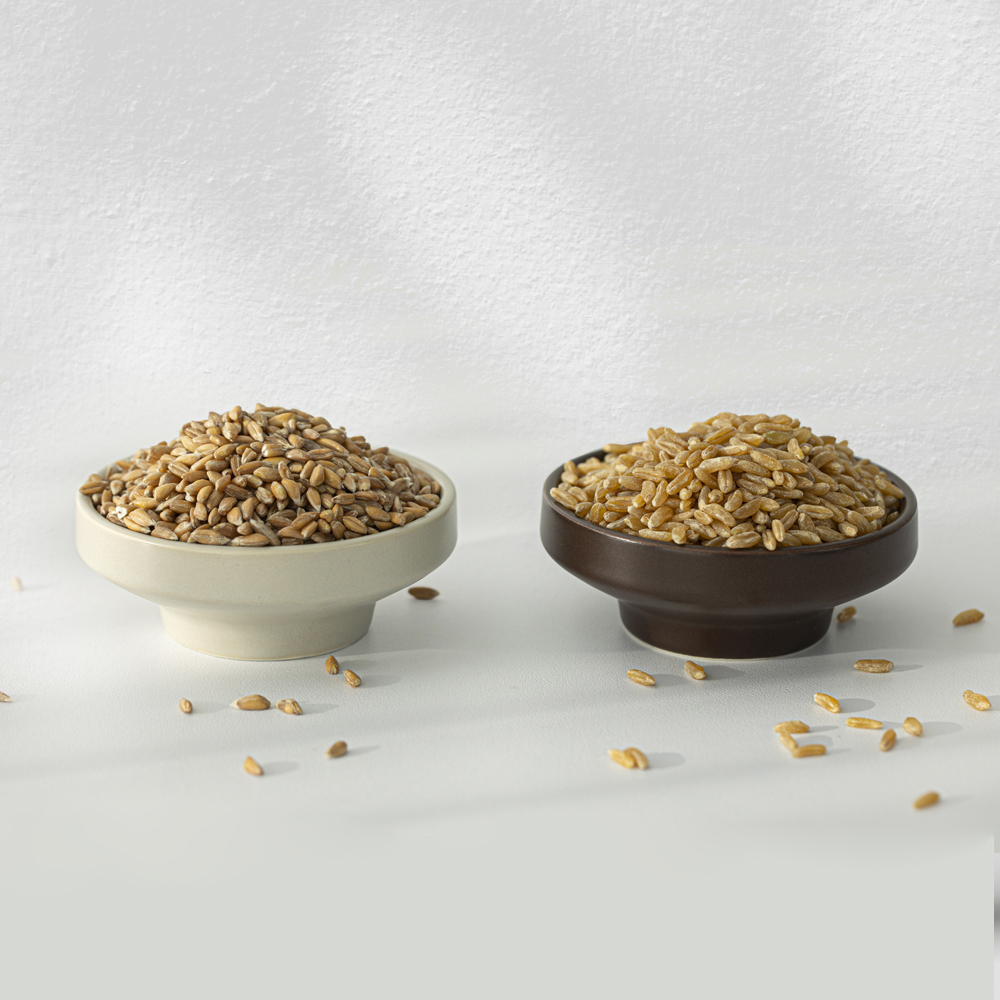 당연구소 호라산밀카뮤트 쌀 950g