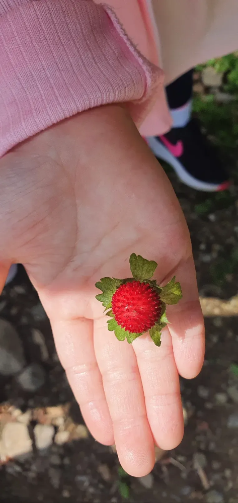 [용산가족공원] 소똥구리생태학교 행복 가득 봄 숲체험 by 소똥구리생태학... 솔직 후기 | 실사용자 리뷰 분석 - 대표 이미지