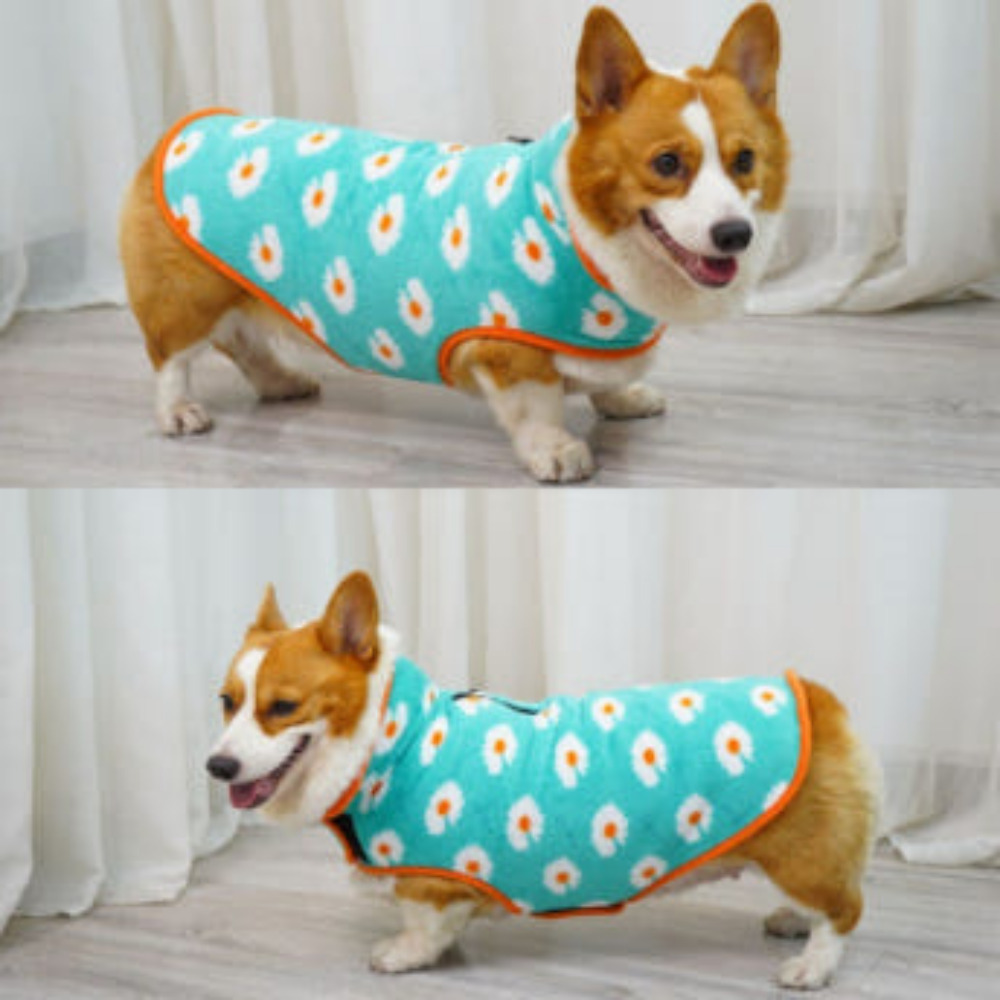 위드레오 강아지 후리스 애견 겨울 조끼 대형견 웰시코기 리트리버옷 스타블루, M