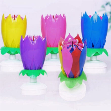 빛환 행사 생일 축하 연꽃초 서울파티룸 생일축하용품 생일파티룸