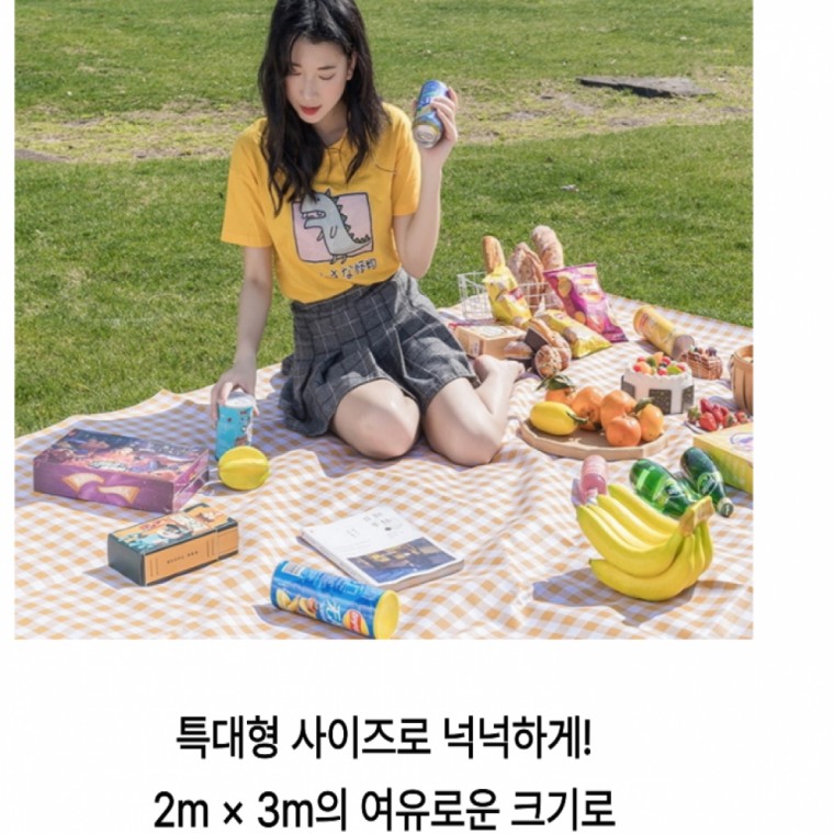 휴대용 특대형 돗자리 200x300cm 한강 피크닉 방수 캠핑 - 상품 이미지