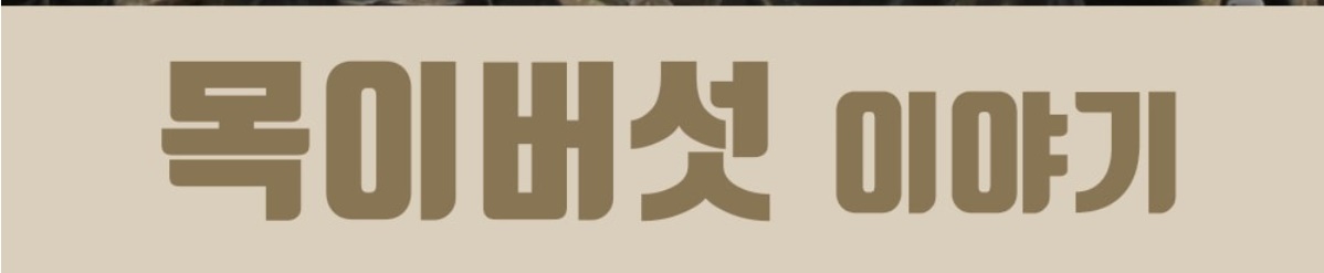 목이버섯 수입산 500g 이미지 7