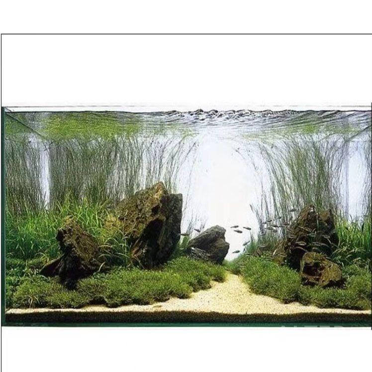 라이트 백스크린 백라이트 수족관 LED 어항 50x30cm 고휘도 화이트 - 상세 이미지 4