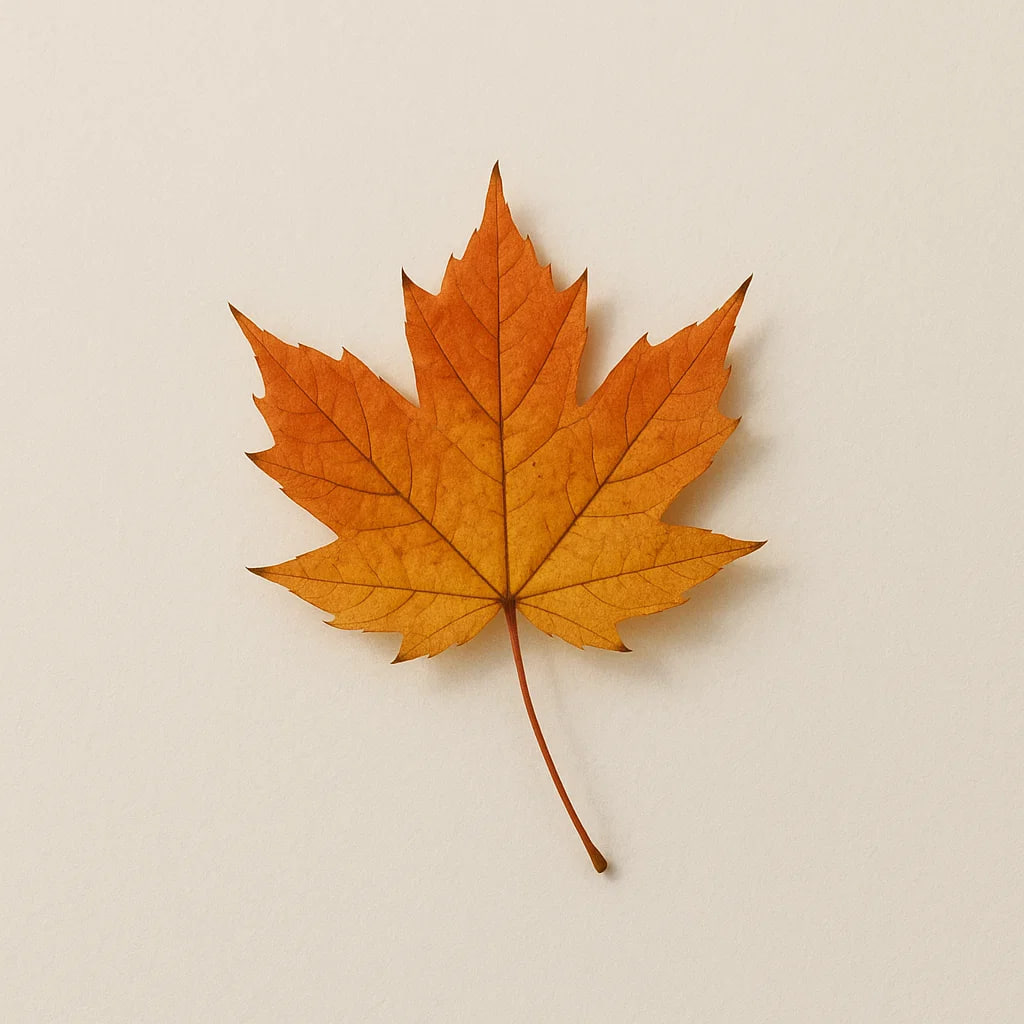 조향 향료 낙엽, 10ml, 1개 - 상세 이미지 3