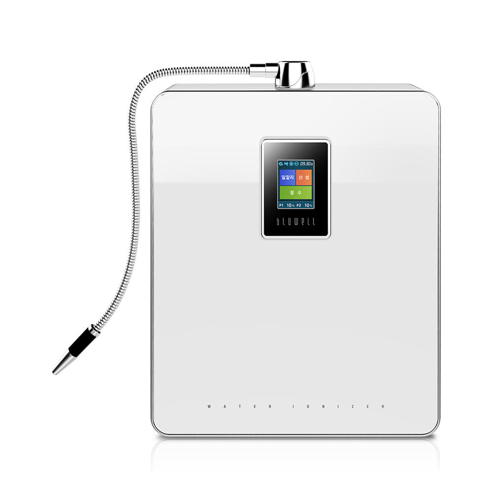 블루웰 디스플레이