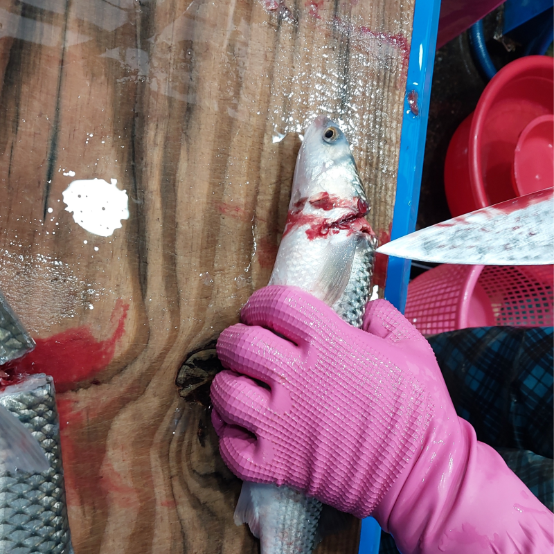자연가득 밀치필렛 350g(손질전 1kg 내외) - 상세 이미지 4