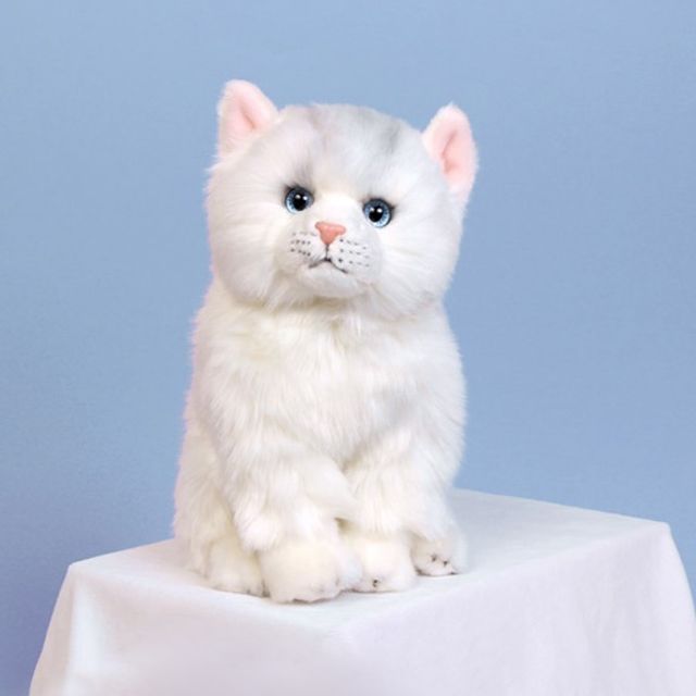 위더펫 리얼 고양이 인형 페르시안 친칠라 화이트 - 상품 이미지
