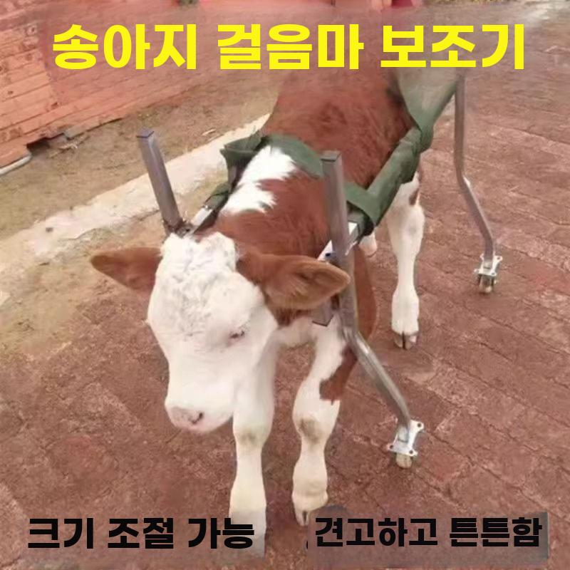 송아지 보행기 망아지 걸음 기립 보조 휠체어 축산 새끼 - 상세 이미지 2