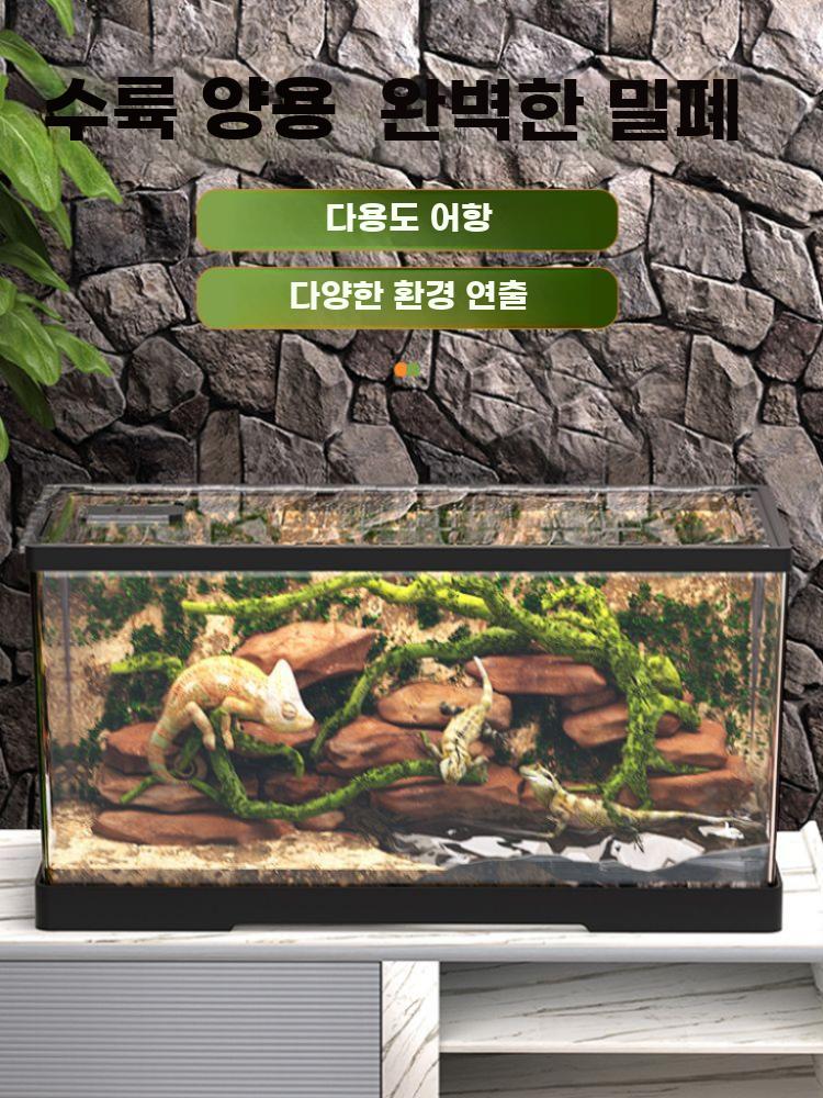 파충류 사육장 도마뱀 투명 테라리움 케이지 하우스 중형 + 뚜껑 - 상세 이미지 2