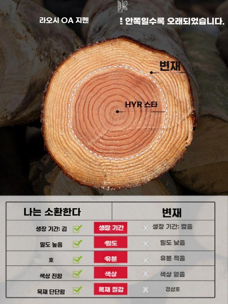 원목 제환기 한의원 환 제조기 알약 환약 틀 환틀 건강원 일체형 3g 15mm (흡착) - 상세 이미지 4