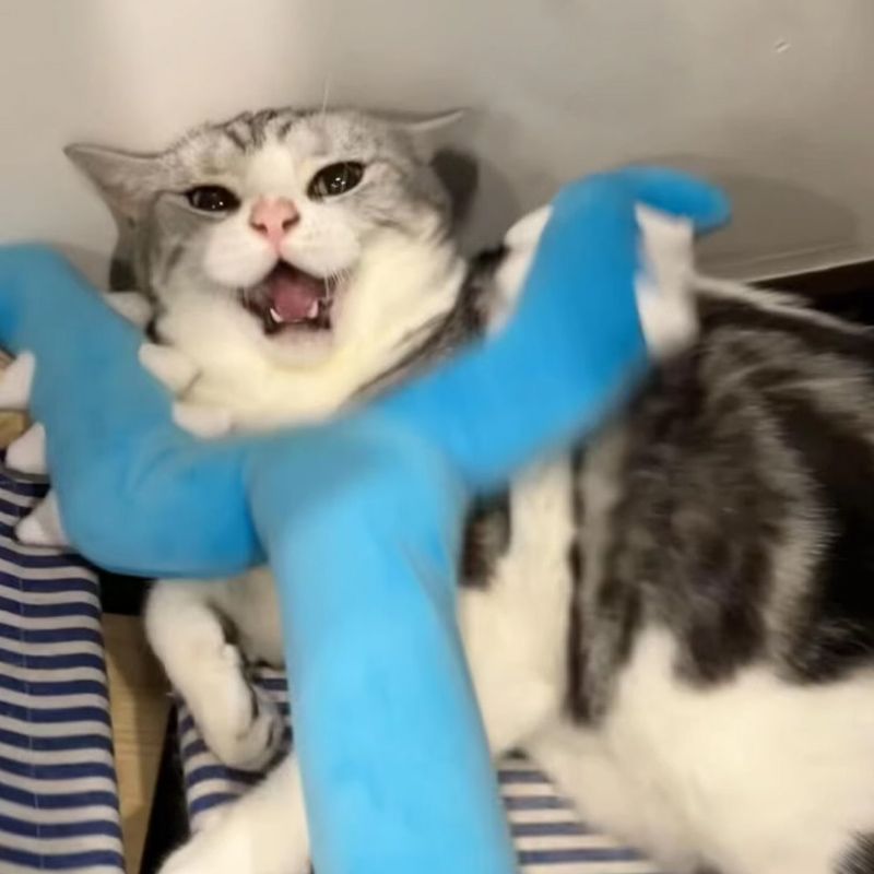 고양이 뿅망치 집게 모양 봉제 인형 막대 캣토이 애착 블루 70cm - 상세 이미지 5