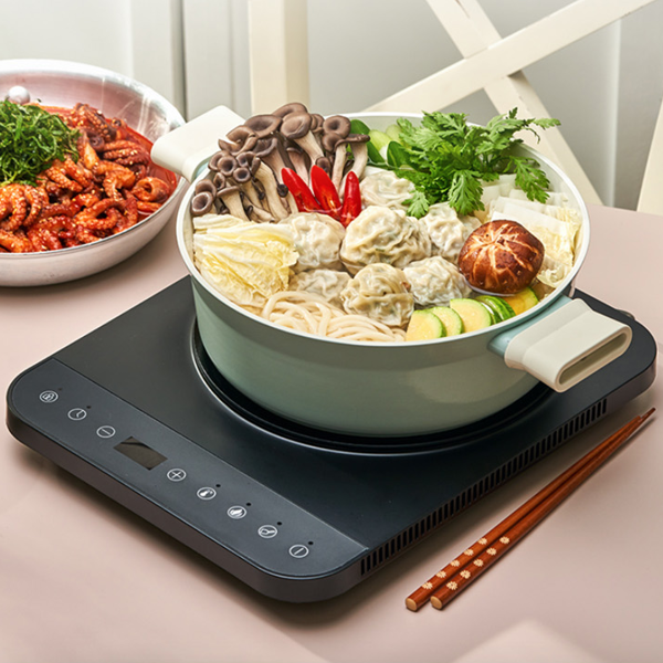 1구인덕션 인덕션 레인지 이동식 휴대용 인덕션 가정용 캠핑