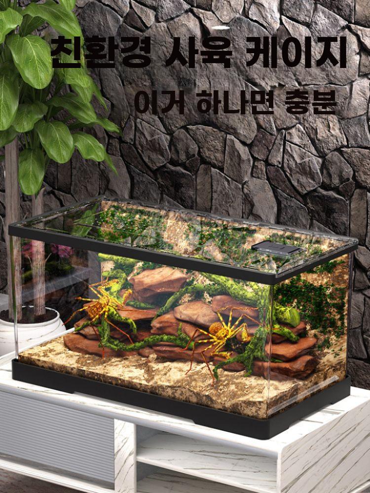 파충류 사육장 도마뱀 투명 테라리움 케이지 하우스 중형 + 뚜껑 - 상세 이미지 5