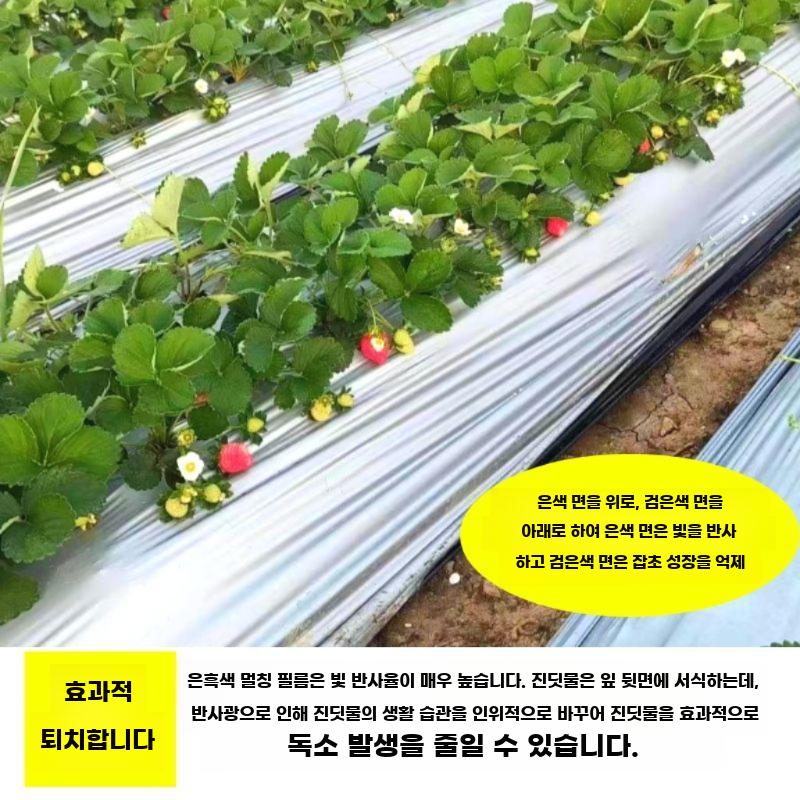 멀칭 필름 과수원 텃밭 반사필름 차광 비닐 방충 덮개 실버/블랙 0.6m x 250m - 상세 이미지 4