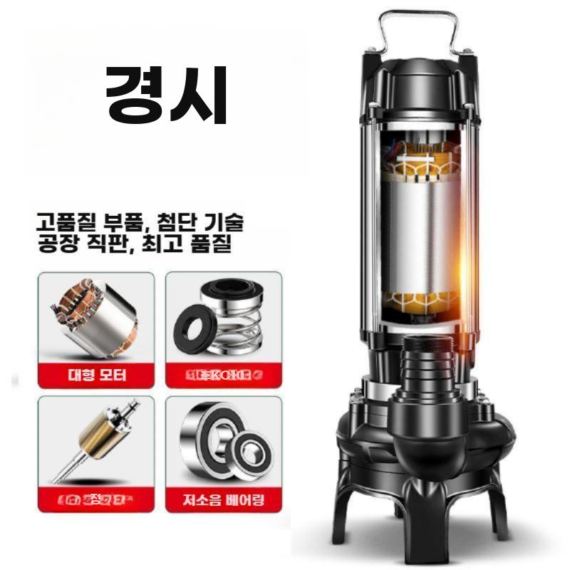 슬러지 펌프 연못 진흙 오수펌프 잠수정 하수 모래 양수기 750W 2인치 펌프+10m호스 - 상세 이미지 3