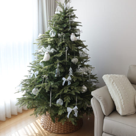 stuio-a3 협력사 [트리 대여] 크리스마스 트리 풀세트 렌탈 지네전구 오너먼트 모두 포함 그린트리150cm