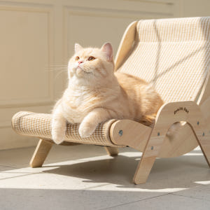 프레이즈펫 프리미엄 비치체어 스크래쳐 - 특대 와이드형 매트 리필 교체 ... 솔직 후기 | 실제 사용자 리뷰 총정리 - 상품 이미지 2