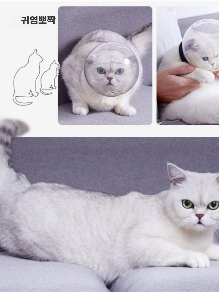 고양이 머리 커버 보호캡 발톱 손톱 미용 할큄 긁힘 방지 통기성 커버 M (3-4.5kg 6.6cm) - 상세 이미지 3