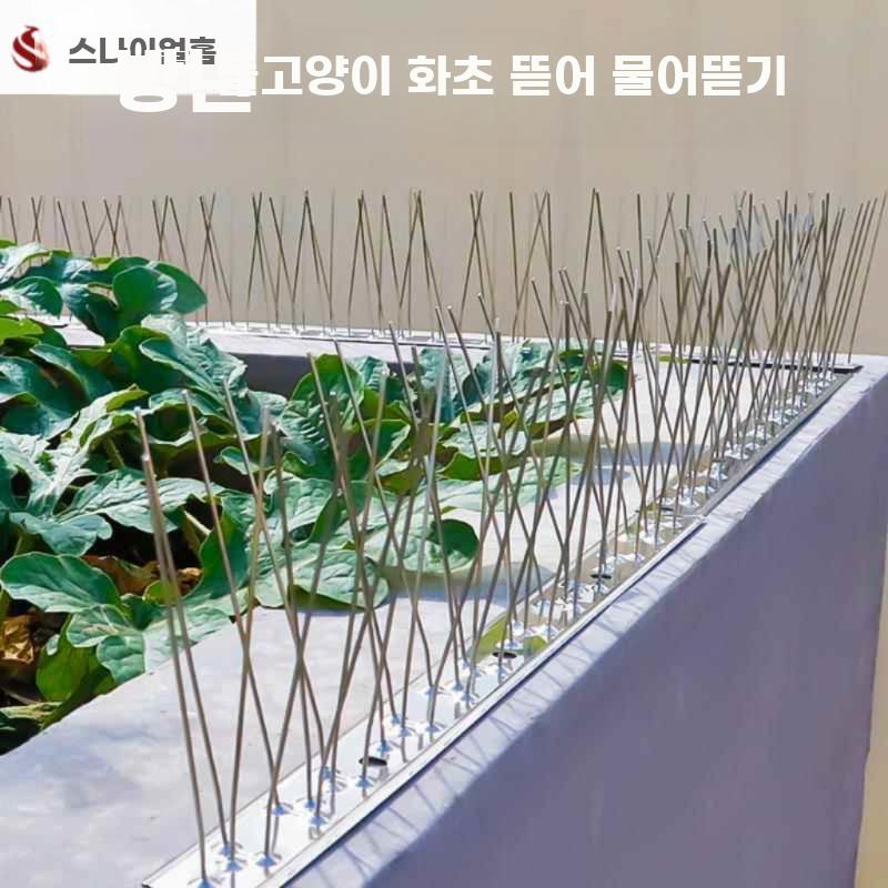 고양이 퇴치 펜스 가시 울타리 뾰족 비둘기 침입 방지 25cm 20가시 - 상세 이미지 3