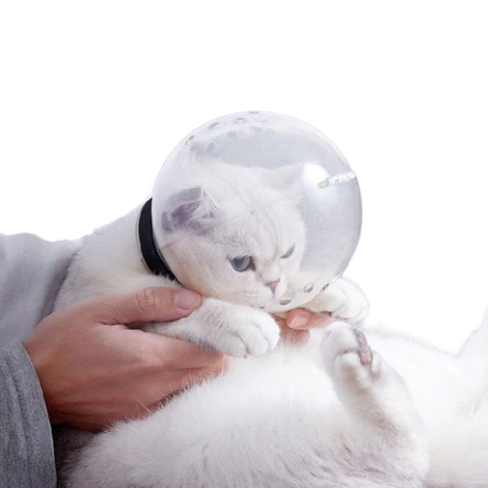 고양이 머리 커버 보호캡 발톱 손톱 미용 할큄 긁힘 방지 통기성 커버 M (3-4.5kg 6.6cm) - 상품 이미지