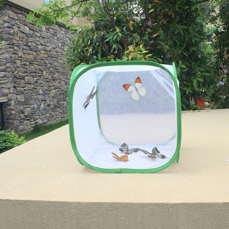 애벌레 부화망 곤충 채집망 누에 나비 고치 부화 케이지 30x30x30cm - 상세 이미지 3
