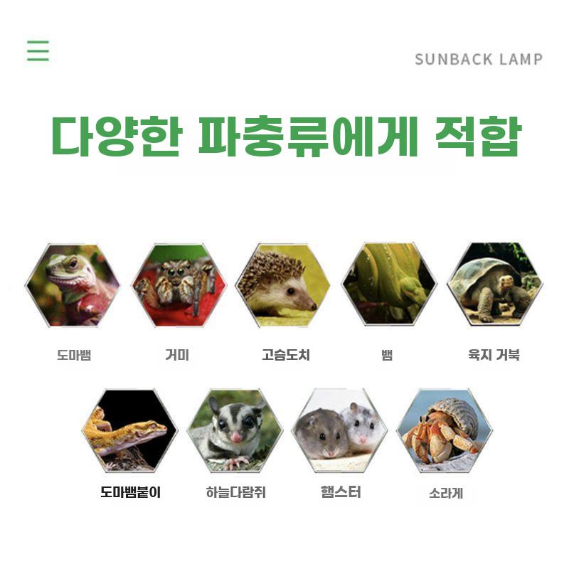 도마뱀 사육장 대형 온도 조절 PVC 인큐베이터 상자 블랙 80X40X40cm 주야간램프 온도계 - 상세 이미지 4