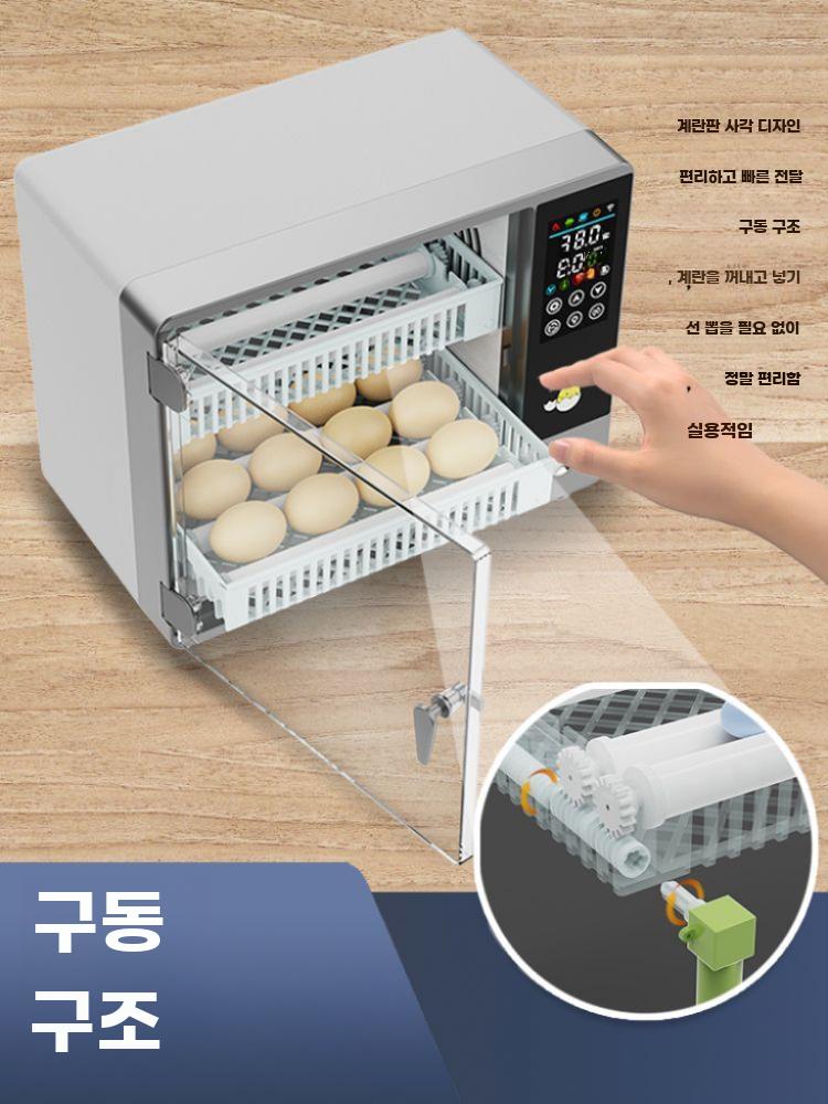 병아리 부화기 달걀 인큐베이터 새 닭 키우기 계란 전자동 24구 단일 배터리 - 상세 이미지 5