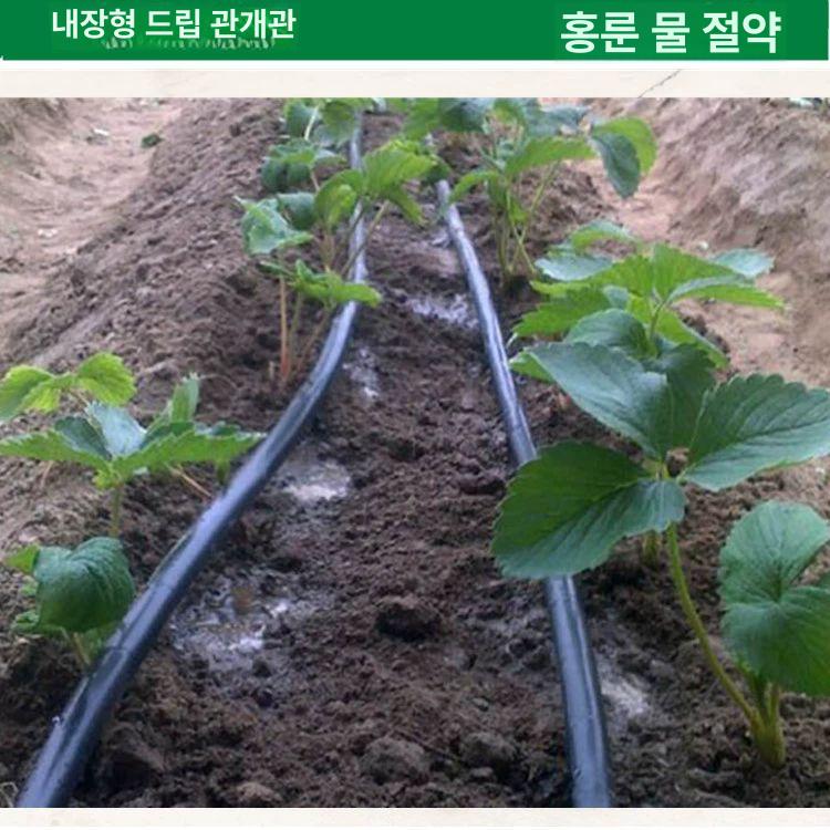 과수원 PE 물호스 500미터 온실 농사 관수 농업용 호스 - 상세 이미지 3