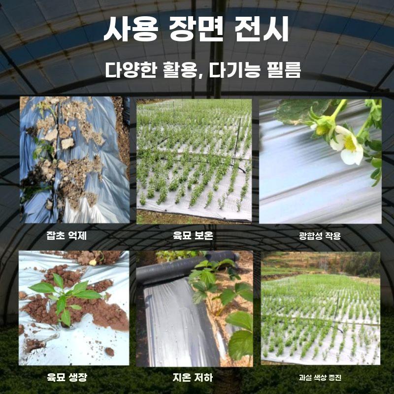 멀칭 필름 과수원 텃밭 반사필름 차광 비닐 방충 덮개 실버/블랙 0.6m x 250m - 상세 이미지 5