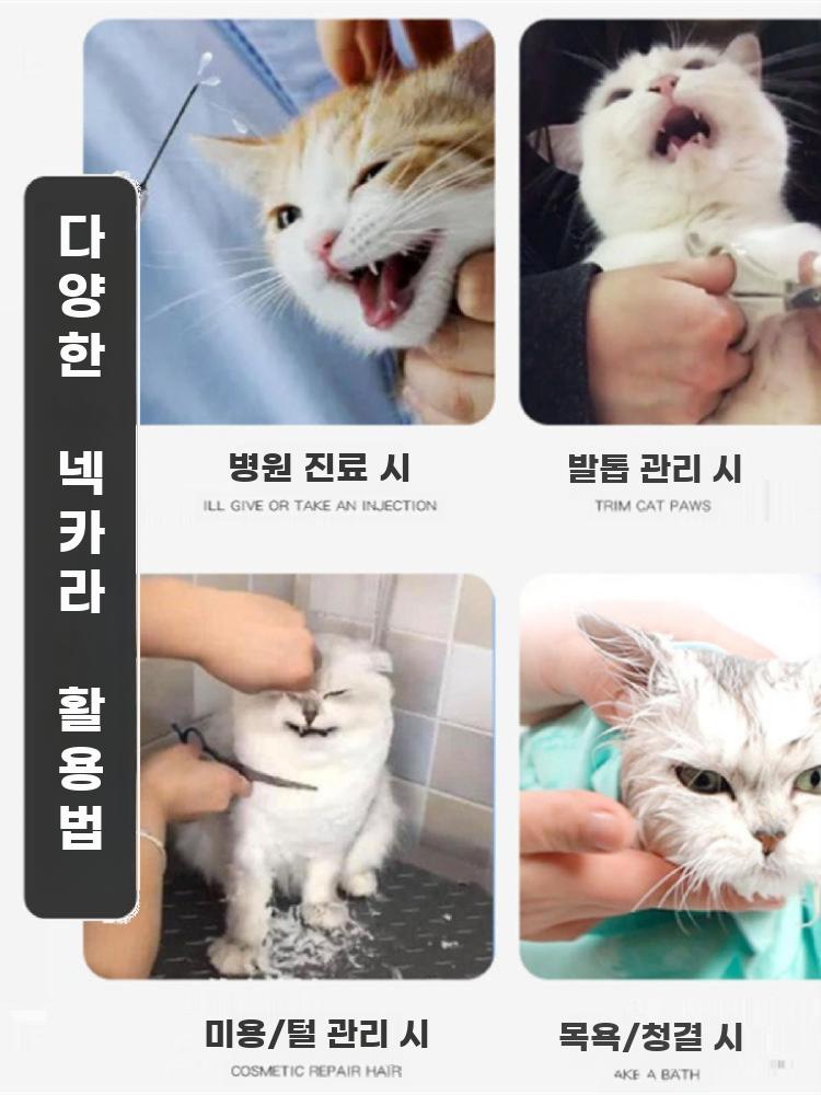 고양이 머리 커버 보호캡 발톱 손톱 미용 할큄 긁힘 방지 통기성 커버 M (3-4.5kg 6.6cm) - 상세 이미지 2