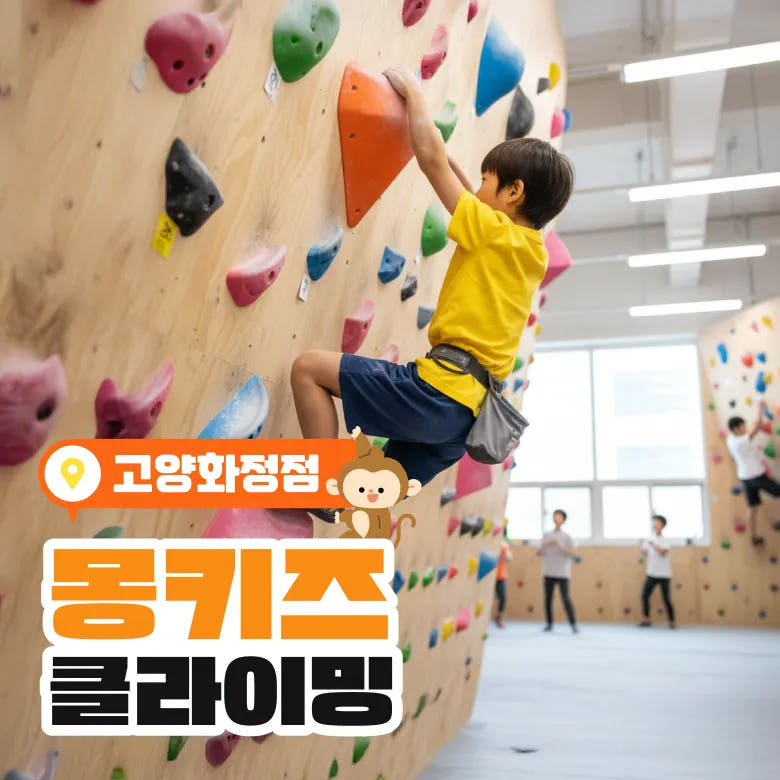 키즈클라이밍 6세 7세 8세 대근육 소근육 발달 어린이 실내 운동 가격 비교 아이고고 키즈클라이밍 6세 7세 8세 대근육 소근육 발달 어린이 실내 운동