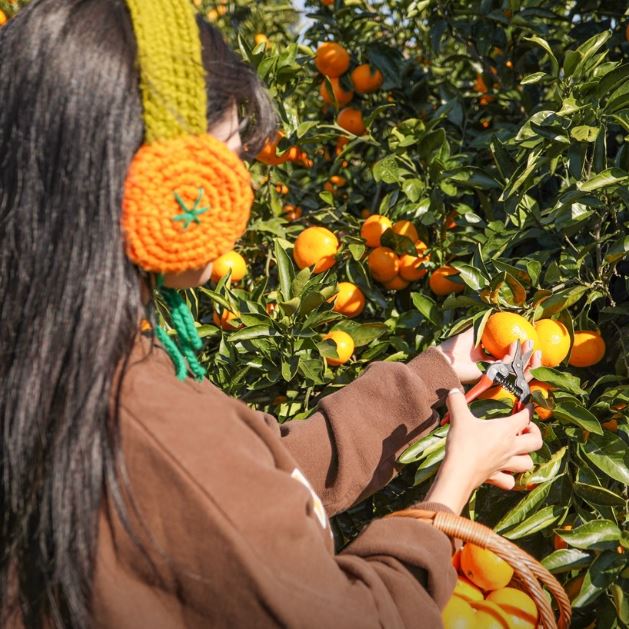 핫플트립 제주도버스투어 뚜벅이 패키지 일일여행 제주여행 액티비티 택시 투어패스 겨울 동백 대표 이미지