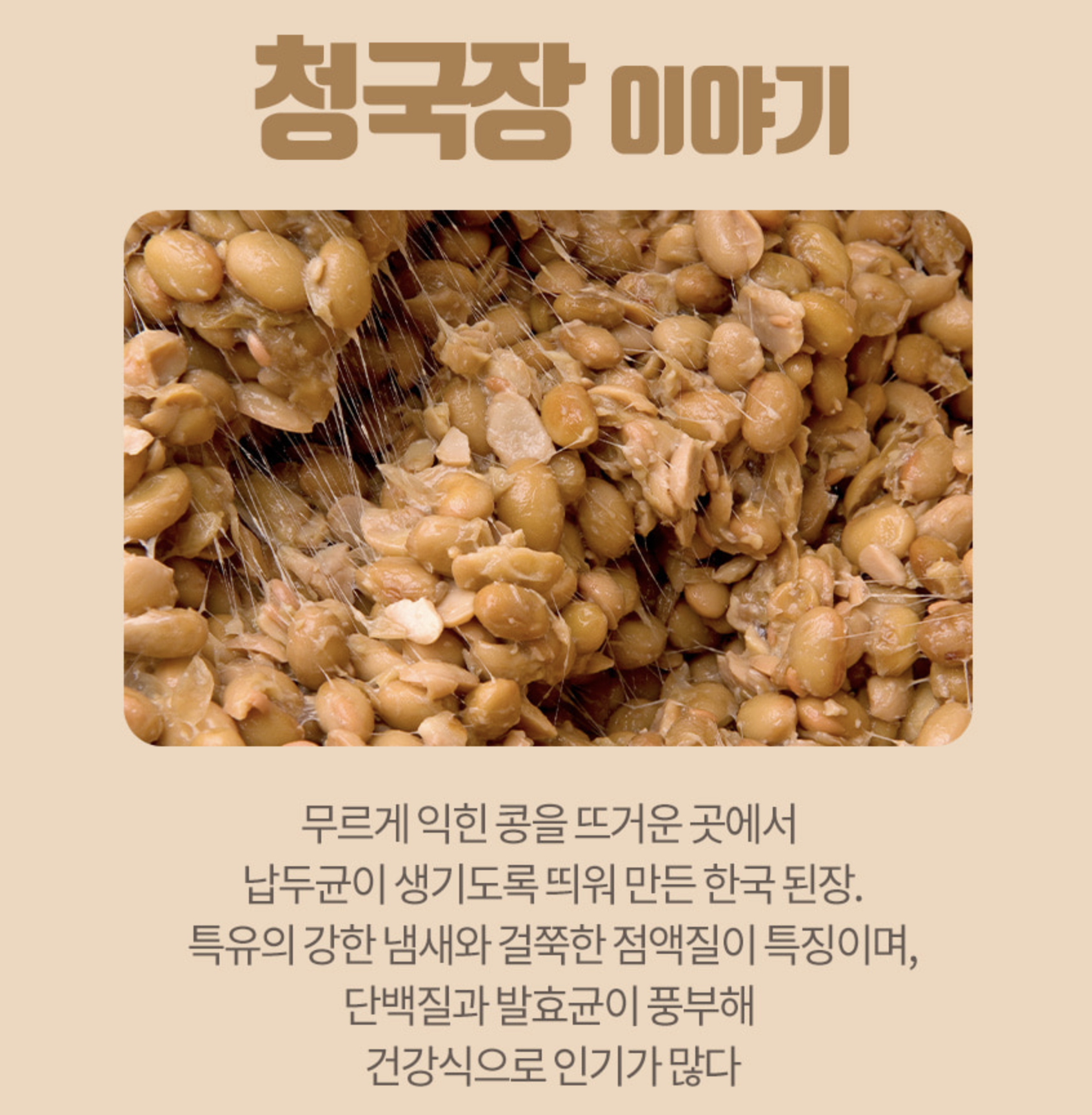 발효콩분말 청국장가루 먹는 방법 생식가루 선식 500g, 1개 이미지 7