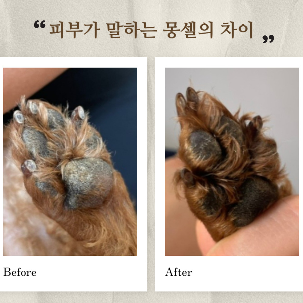 바스몽 강아지 고보습 집중 케어 보습제 미스트 몽셀 몽블링 세트 이미지 8